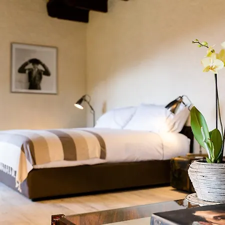 Cascina San Vito Bed & Breakfast Turín