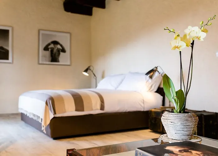 Cascina San Vito B&B 토리노
